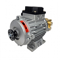 Маленький медный водяной масляный вихревой насос WD-021W в Белгороде